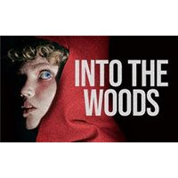 Into The Woods - Chademo To Ccs Combo 1 Adapter review and price