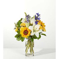 Wonderfully Sunny Bouquet - Ccs2 Fast Charging Socket 250A review and price