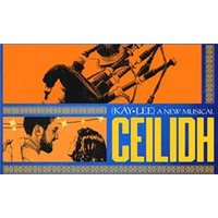 Ceilidh - Chademo To Ccs Combo 1 Adapter review and price