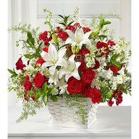 Sentiments of Love Arrangement - Ccs2 Fast Charging Socket 250A review and price