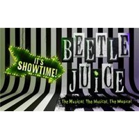 Beetlejuice: The Musical - Chademo To Ccs Combo 1 Adapter review and price