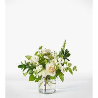 Hint of Vanilla Bouquet - Ccs2 Fast Charging Socket 250A review and price