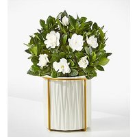 8-inch Fragrant Gardenia Plant - Ccs2 Fast Charging Socket 250A review and price