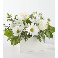 Fresh Linen Box Bouquet - Ccs2 Fast Charging Socket 250A review and price