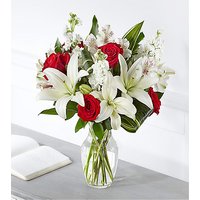 Loving Respect Bouquet - Ccs2 Fast Charging Socket 250A review and price