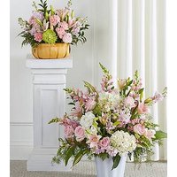 Bountiful Blooms Bundles - Ccs2 Fast Charging Socket 250A review and price
