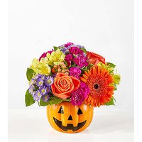 Tricks and Treats Pumpkin - Ccs2 Fast Charging Socket 250A review and price