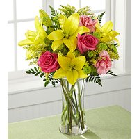 Bright and Beautiful Bouquet - Ccs2 Fast Charging Socket 250A review and price