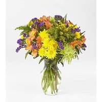 Marmalade Skies Bouquet - Ccs2 Fast Charging Socket 250A review and price