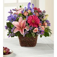 So Beautiful Bouquet - Ccs2 Fast Charging Socket 250A review and price