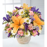Natural Wonders Bouquet - Ccs2 Fast Charging Socket 250A review and price