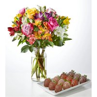 Smiles and Sunshine Bouquet an - Ccs2 Fast Charging Socket 250A review and price