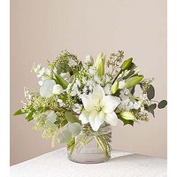 Alluring Elegance Bouquet - Ccs2 Fast Charging Socket 250A review and price