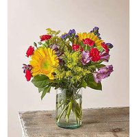 Summer in the Cape Bouquet - Ccs2 Fast Charging Socket 250A review and price
