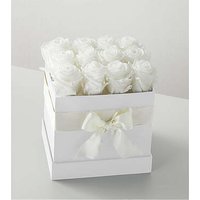 White Forever Roses - FedEx - Ccs2 Fast Charging Socket 250A review and price