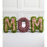 FTD Remembering Mom Arrangemen - Ccs2 Fast Charging Socket 250A review and price
