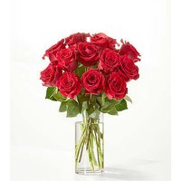 Red Rose Bouquet - 12 Roses wi - Ccs2 Fast Charging Socket 250A review and price