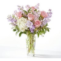 Embraced Bouquet - Ccs2 Fast Charging Socket 250A review and price