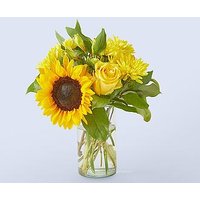 Cheerleader Bouquet - Ccs2 Fast Charging Socket 250A review and price