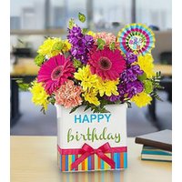 Birthday Brights Bouquet - Ccs2 Fast Charging Socket 250A review and price