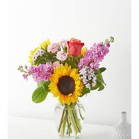 Yellow Brick Road Bouquet - Ccs2 Fast Charging Socket 250A review and price