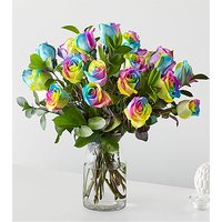Rainbow Rose Bouquet - 24 Rose - Ccs2 Fast Charging Socket 250A review and price