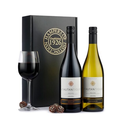 French Wine Duo - Chademo To Ccs Combo 1 Adapter review and price