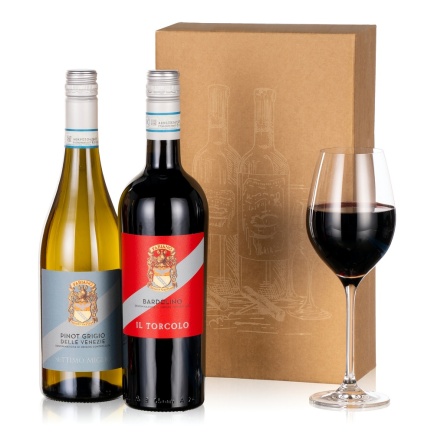 Italian Wine Duo - Chademo To Ccs Combo 1 Adapter review and price