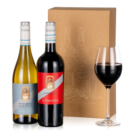 Italian Wine Duo - Chademo To Ccs Combo 1 Adapter review and price