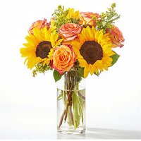 Amber Sunlight Bouquet - FedEx - Ccs2 Fast Charging Socket 250A review and price