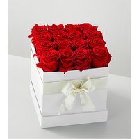 Red Forever Roses - 16 Preserv - Ccs2 Fast Charging Socket 250A review and price