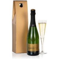 Champagne Choice - Chademo To Ccs Combo 1 Adapter review and price