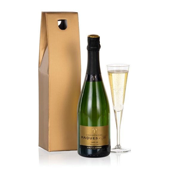 Champagne Choice - Chademo To Ccs Combo 1 Adapter review and price