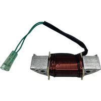 63V-85533-00-00 Lighting Coil  - Bldc Motor Controller 96V 500A review and price