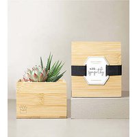 Lula's Garden Bamboo Glow - Wi - Ccs2 Fast Charging Socket 250A review and price