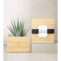 Lula's Bamboo Zebra Garden - W - Ccs2 Fast Charging Socket 250A review and price