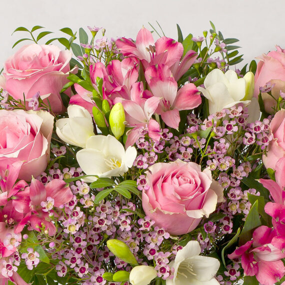 Pink Roses and Freesias - Chademo To Ccs Combo 1 Adapter review and price
