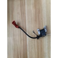 Outboard Motor Ignition Coil P - Bldc Motor Controller 96V 500A review and price