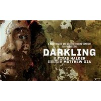 Darkling - Chademo To Ccs Combo 1 Adapter review and price