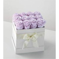 Lavender Forever Rose - 12 Pre - Ccs2 Fast Charging Socket 250A review and price