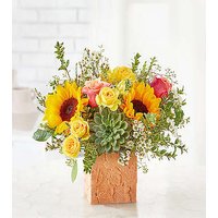 Sunflower Season Bouquet - Ccs2 Fast Charging Socket 250A review and price