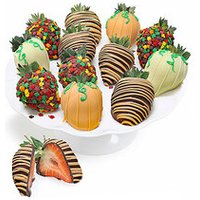 Fall Belgian Chocolate Covered - Ccs2 Fast Charging Socket 250A review and price