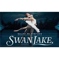 Ballet de Santiago Swan Lake - Chademo To Ccs Combo 1 Adapter review and price