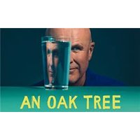 An Oak Tree - Chademo To Ccs Combo 1 Adapter review and price