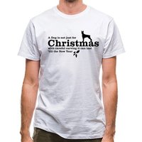 A dog is not just for christma - Chademo To Ccs Combo 1 Adapter review and price
