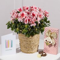 Happy Birthday Azalea Gift - Chademo To Ccs Combo 1 Adapter review and price