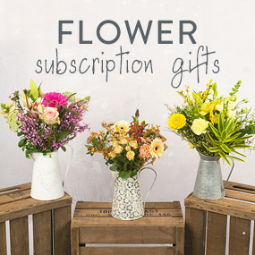 Hand Tied 6 Month Flower Gift - Chademo To Ccs Combo 1 Adapter review and price