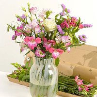 Letterbox Monthly Flower Gift - Chademo To Ccs Combo 1 Adapter review and price