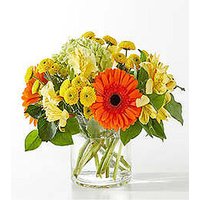 Autumn Sunshine Bouquet - Ccs2 Fast Charging Socket 250A review and price