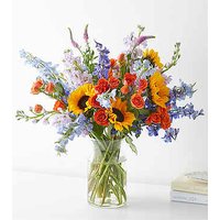 Full Nest Bouquet - Deluxe wit - Ccs2 Fast Charging Socket 250A review and price